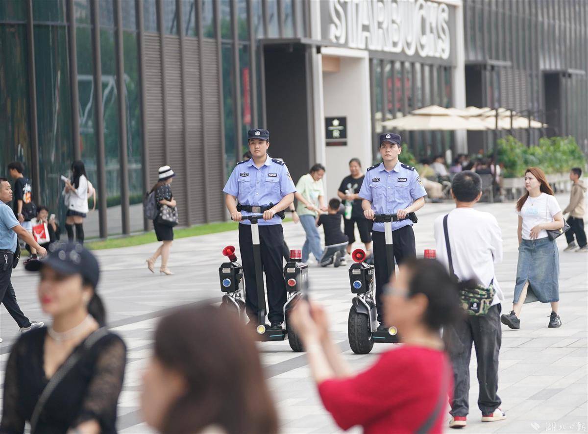 白菜网站大全